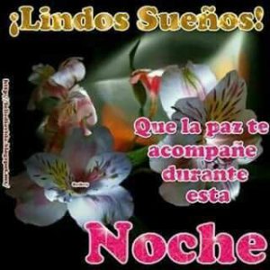 Un Lindo Mensaje De Buenas Noches