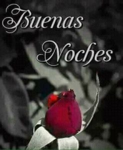 Un Pensamiento De Buenas Noches