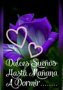 Un Saludo De Buenas Noches Para Mi Amor Para Whatsapp