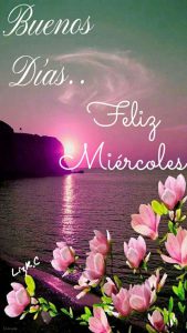 Una Frase Bonita De Buenos Dias