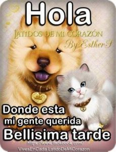 Una Frase De Buenos Dias Para Mi Amor