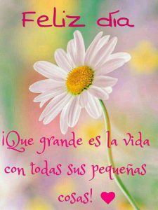 Una Frase De Buenos Dias Para Una Amiga