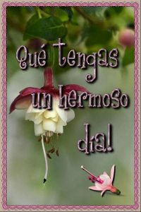 Una Imagen De Buenos Dias