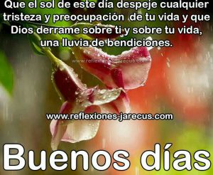 Ver Frases De Buenos Dias