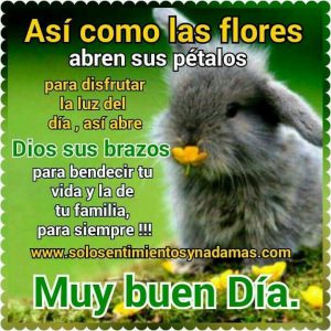 Ver Frases De Buenos Dias Para Mi Amor