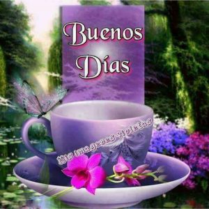 Ver Imagenes Bonitas De Buenos Dias Para Celular