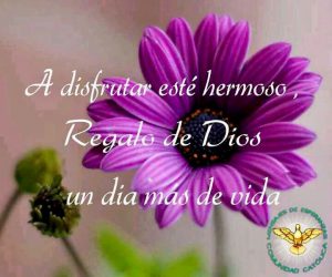 Ver Imagenes Bonitas De Buenos Dias Para Facebook