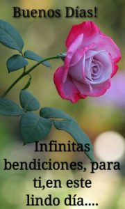 Ver Imagenes Bonitas De Buenos Dias Para Whatsapp