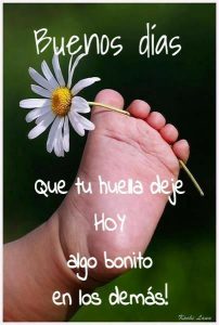 Ver Imagenes D Buenos Dias Para Una Amiga