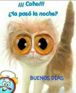 Ver Imagenes De Buenos Dias