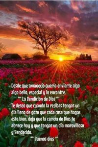 Ver Imagenes De Buenos Dias Para Mi Amor