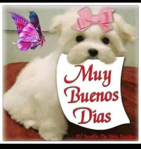 Ver Imagenes De Buenos Dias Para Whatsapp