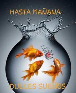 Ver Imajenes De Buenas Noches Para Celular