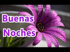Ver Imajenes De Buenas Noches Para Whatsapp