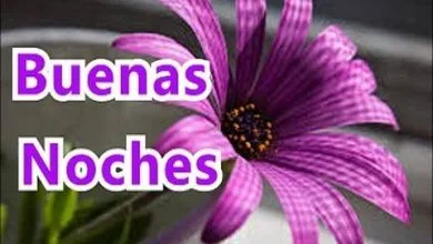 Photo of Ver Imajenes De Buenas Noches Para Whatsapp