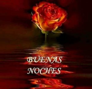 Ver imágenes bonitas de buenas noches para celular