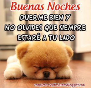 Ver imágenes bonitas de buenas noches para WhatsApp