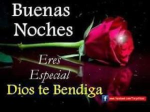 Ver Mensajes Bonitos De Buenas Noches Para Celular