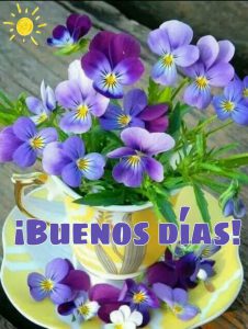 Ver Mensajes De Buenos Dias Para Celular