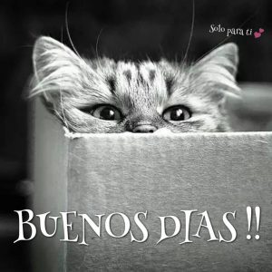 Versos Cortos De Buenos Dias Mi Amor Para Facebook