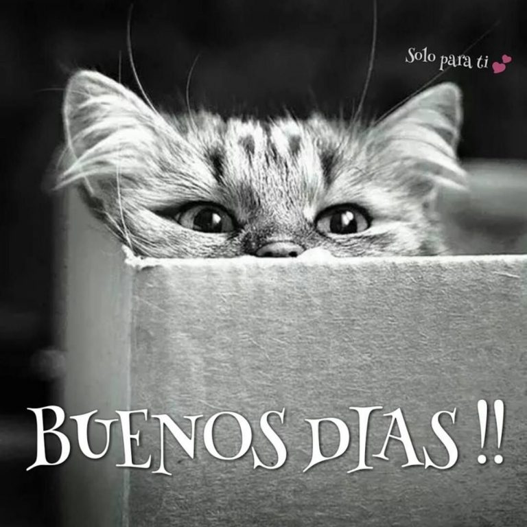 Versos Cortos De Buenos Dias Mi Amor Para Facebook
