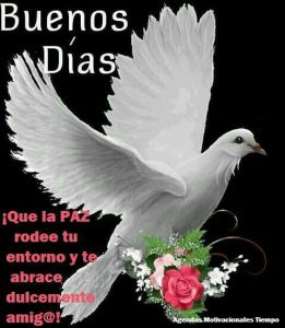 Versos De Amor De Buenos Dias Para Whatsapp