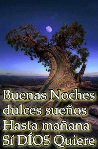 Versos De Amor Para Mi Novia De Buenas Noches Para Celular