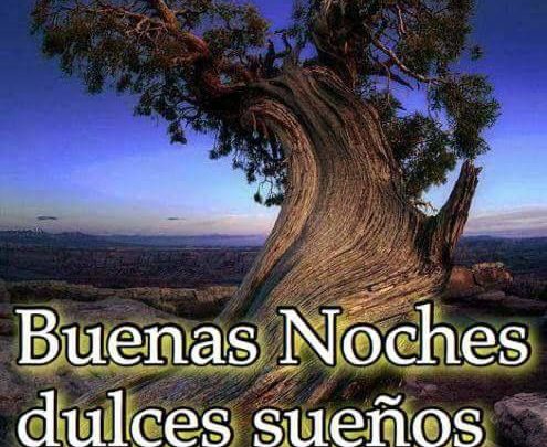 Versos De Amor Para Mi Novia De Buenas Noches Para Celular – Imágenes de bonitas para descargar gratis Versos De Amor Para Mi Novia De Buenas Noches Para Celular – Imágenes de bonitas para descargar gratis