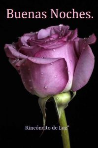 Versos De Buenas Noches Para Descargar Gratis