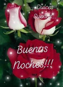 Versos De Buenas Noches Para Enamorar Para Whatsapp