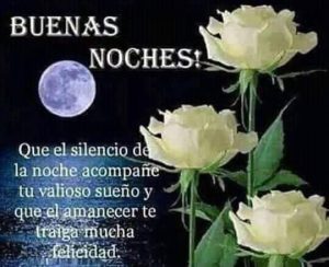 Versos De Buenas Noches Para Facebook