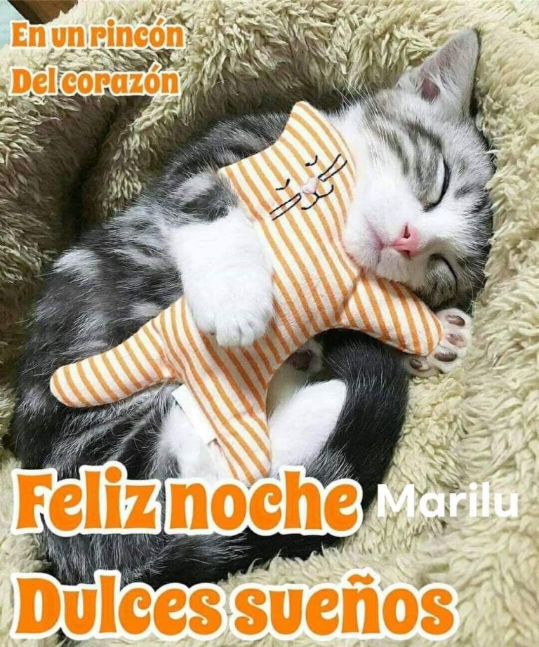 Versos De Buenas Noches Para Mi Novia Para Descargar Gratis
