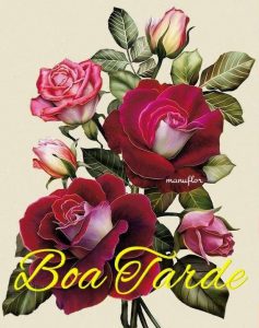 Versos De Buenas Noches Para Mi Novio Para Facebook