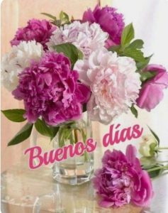 Versos De Buenos Dias Mi Amor Para Una Amiga