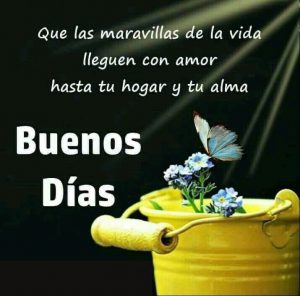 Versos Para Desear Buenas Noches Para Celular