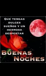 Versos para desear buenas noches para WhatsApp