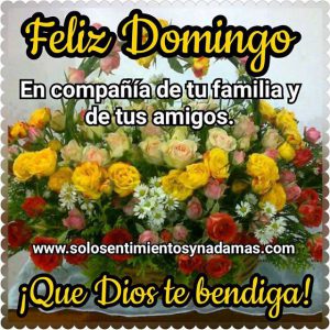 Video Feliz Domingo Para Celular