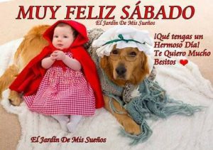 Video Feliz Sabado Para Whatsapp