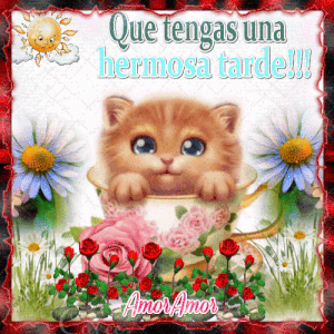 Videos de buenas tardes gif animadas