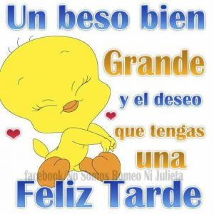 Videos De Buenas Tardes Para Whatsapp Celular