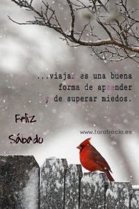 Videos De Feliz Sabado Para Facebook