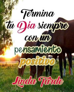 Ween Buenas Tardes Para Whatsapp Celular