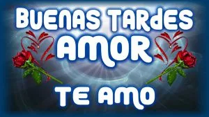 Imágenes de buenas tardes amor mio
