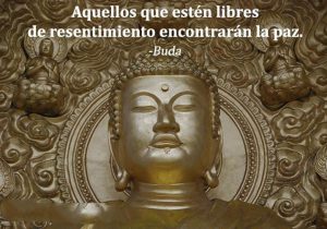 Aquellos Que Esten Libres De Resentimiento Encontraran La Paz frases bonitas