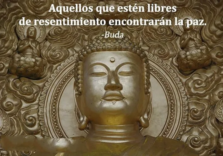 Aquellos que esten libres de resentimiento encontraran la paz frases bonitas
