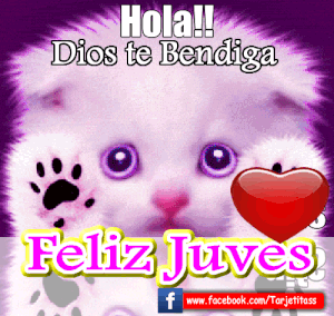 Bendecido jueves
