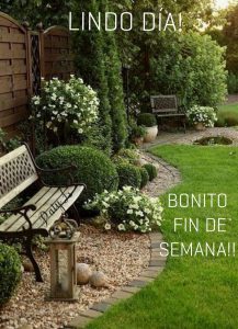 Bendiciones De Fin De Semana