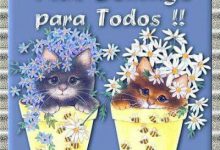 Photo of Bonito Fin De Semana Amiga