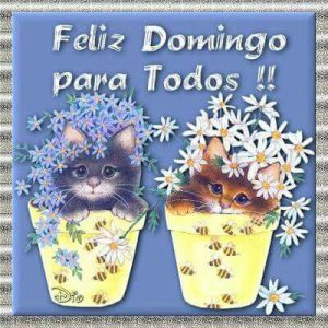 Bonito Fin De Semana Amiga