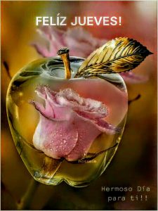 Bonito Jueves Frases